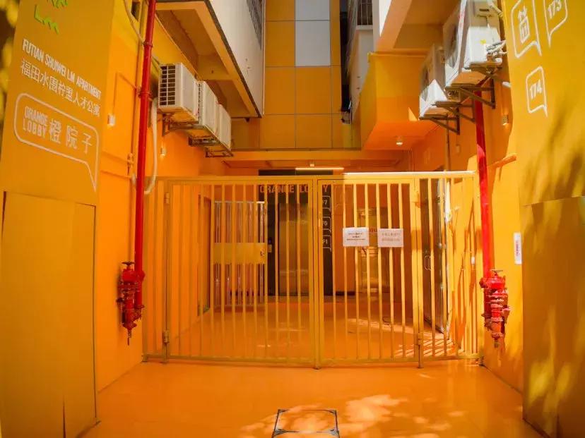 春日赏花深圳,深圳春游赏花