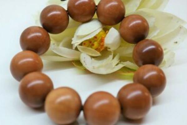 酸枣木密度一般多少,酸枣木最粗的直径有多少