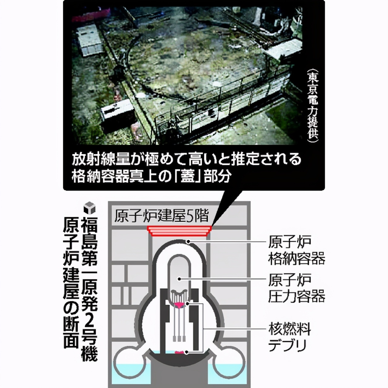 日本福岛核电站对人有什么危害,日本福岛核电站辐射死亡