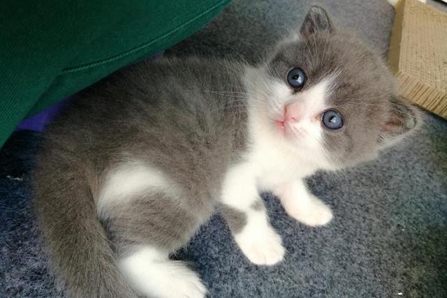 最好的万字长文,万字长文干货