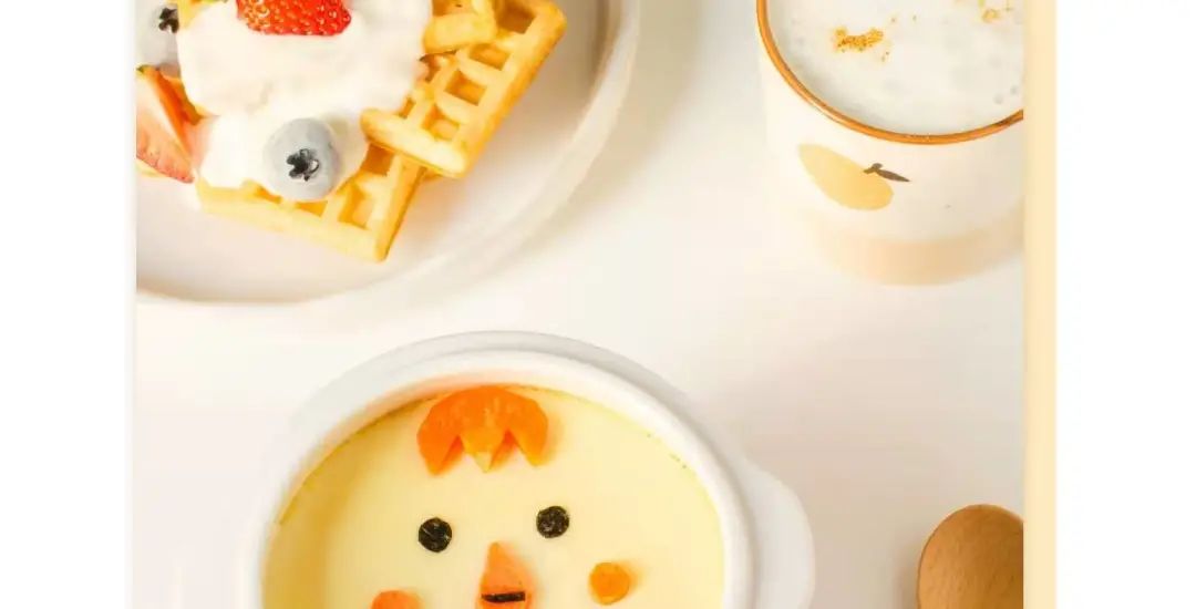 高端健康养生电锅,电炖锅养生