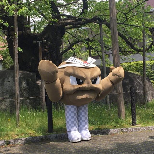 小拳石担任岩手县观光大使​​​，为了表现没腿官方煞费苦心