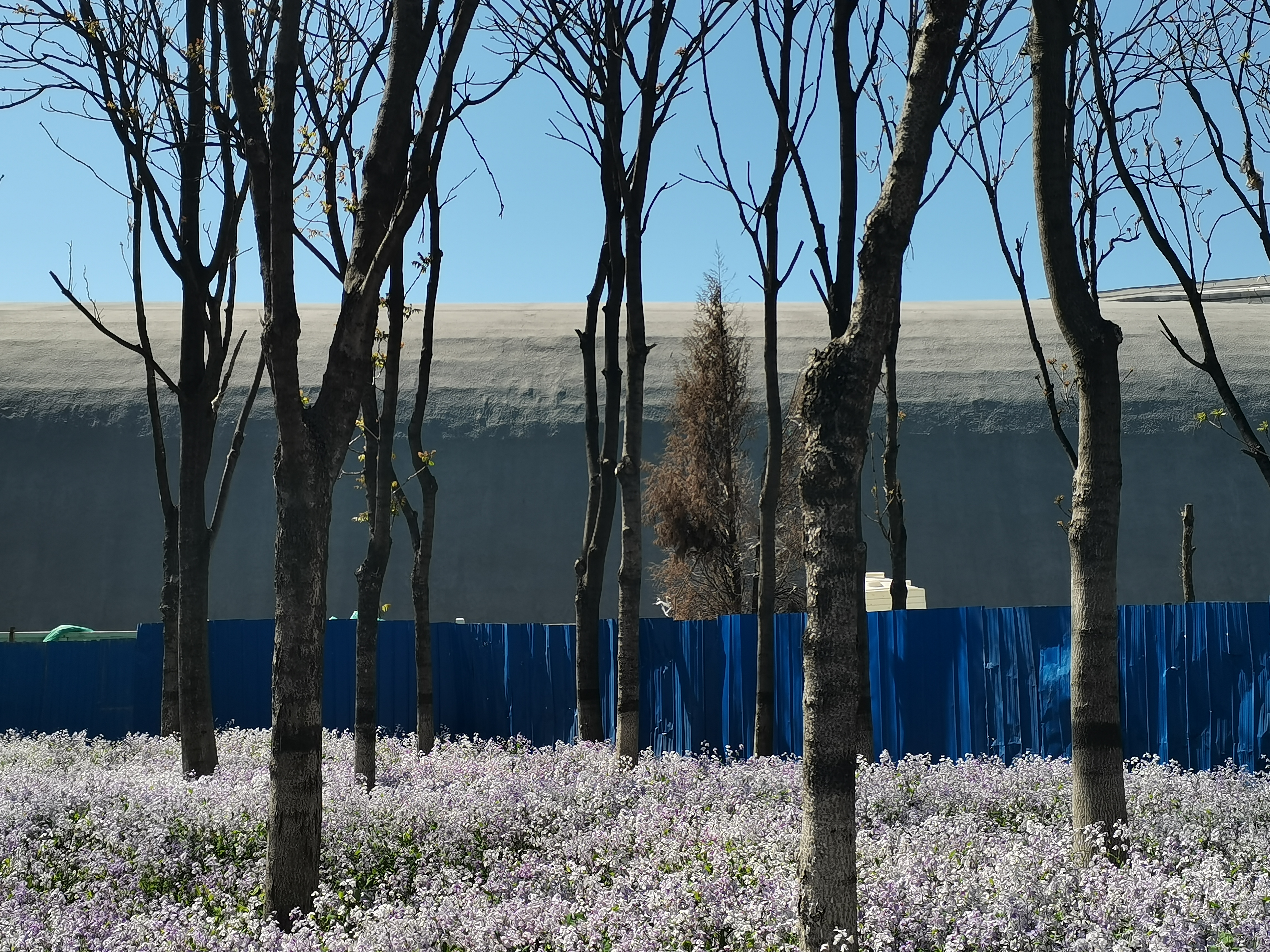 对新闻采编与制作的理解,新闻采编与制作专升本的学校