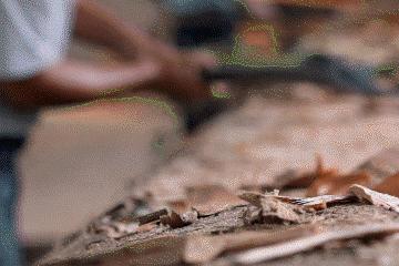 汪涵高圆圆,汪涵赵又廷