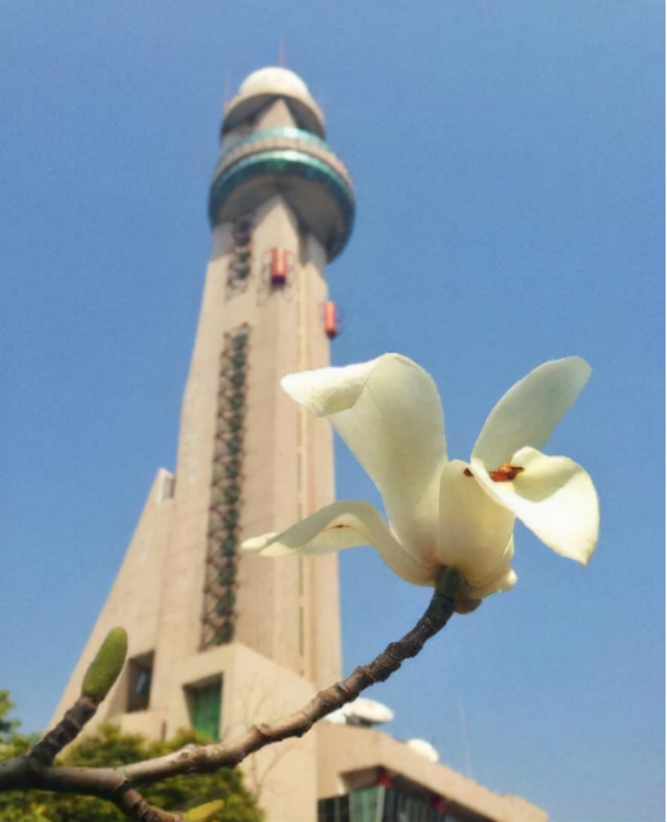 合肥气象科技园,合肥旅游景点科技馆