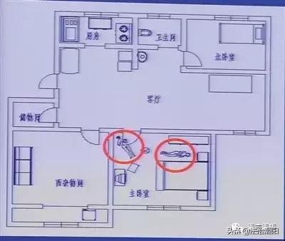 毒品婴儿,毒婴儿