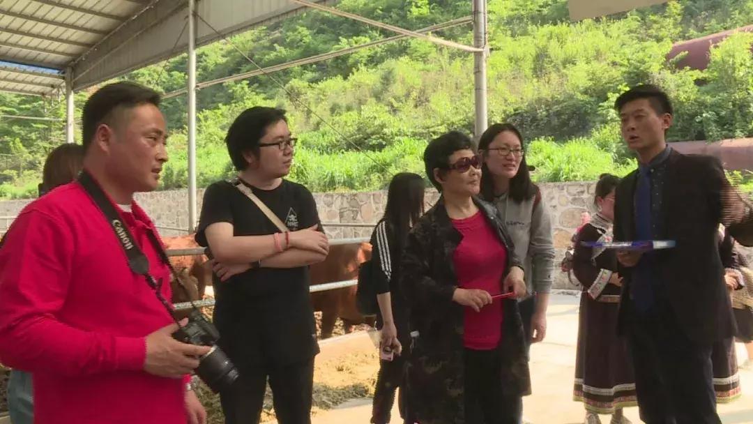 左庭右院寻牛节,左庭右院鲜牛肉火锅昆明