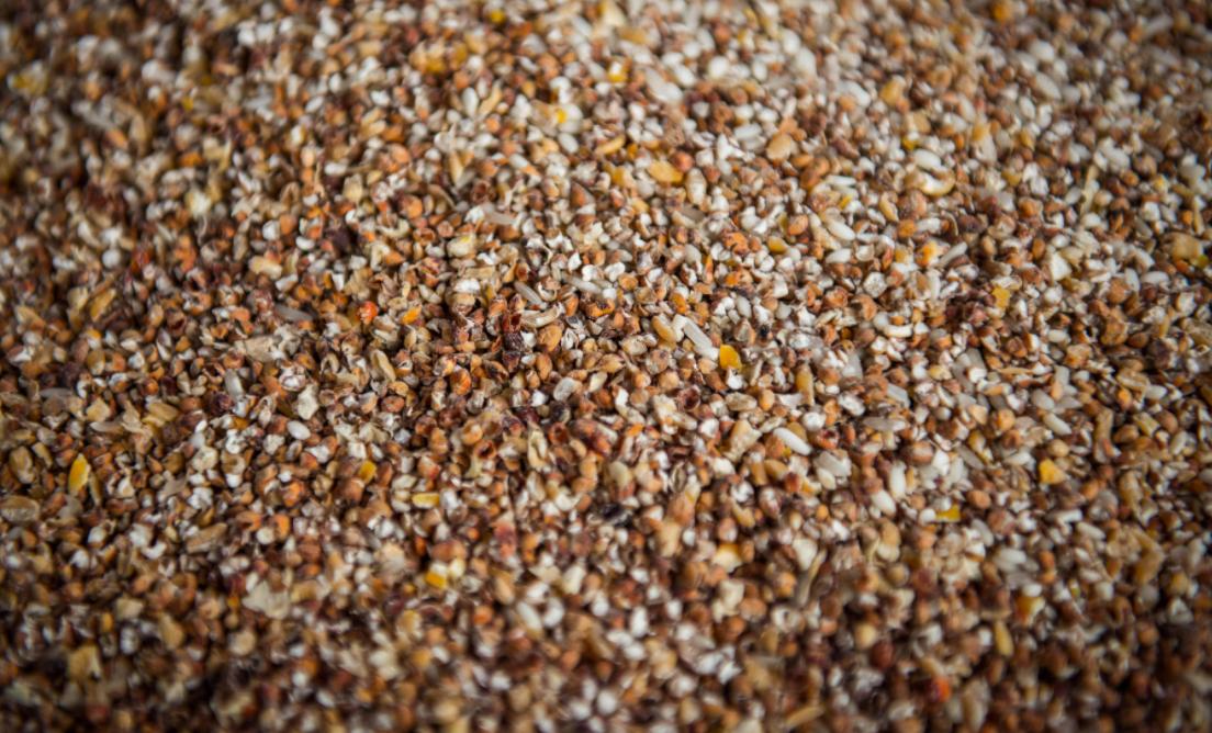 茅台酒踩曲女孩,茅台酒年轻女子踩酒曲