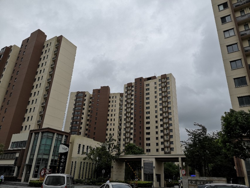 上海临港新片区万祥东来建设,临港新片区万祥