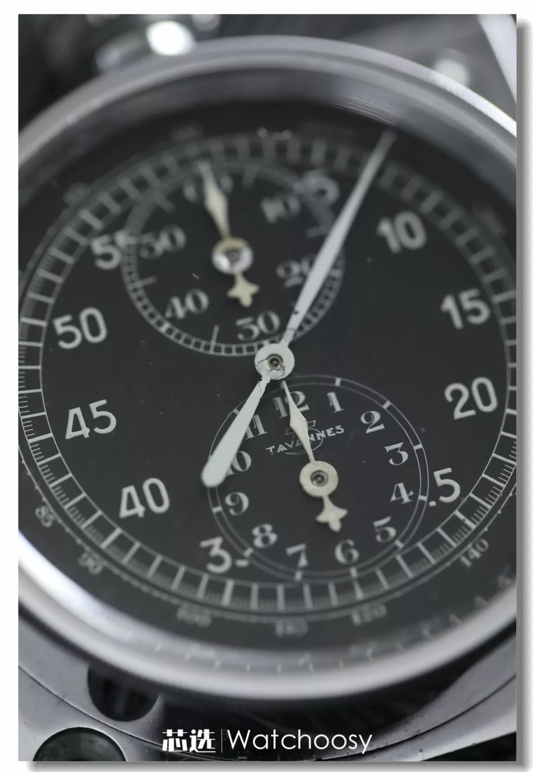 豪雅历史简介,豪雅octavia复刻版