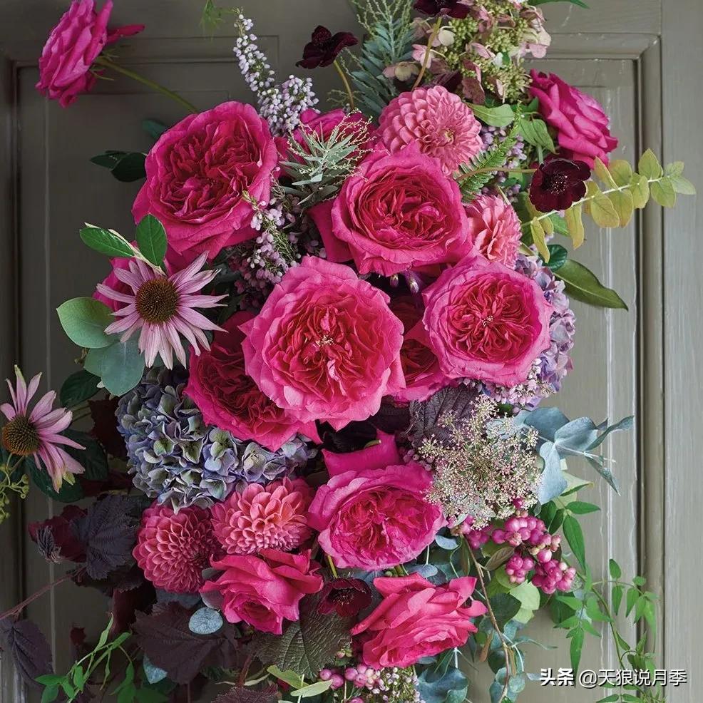 520你最想收到什么玫瑰,520这样的玫瑰你们喜欢吗