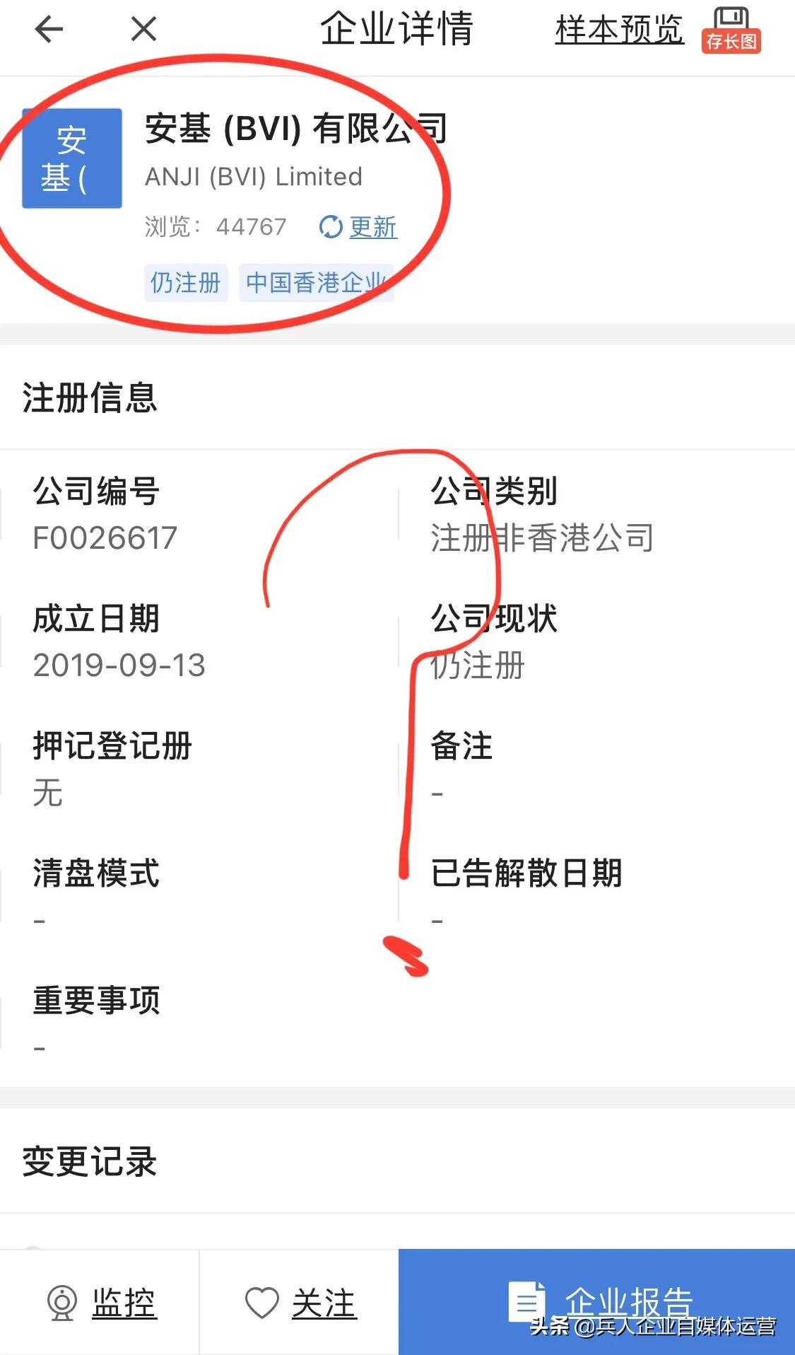 恒大股权结构示意图,恒大集团分析图