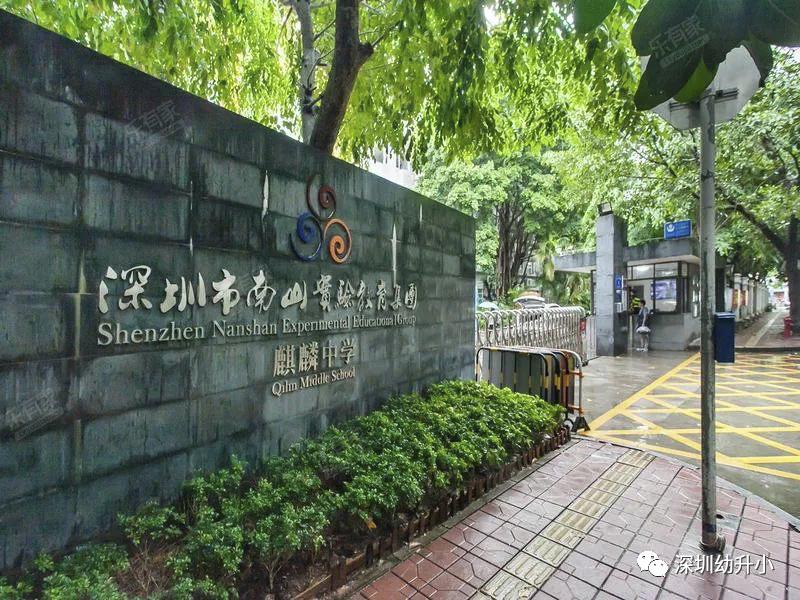 深圳2023优质小学校排名,深圳03大学区小学排名