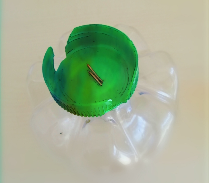 一个短视频,一截旧皮带和一堂网课