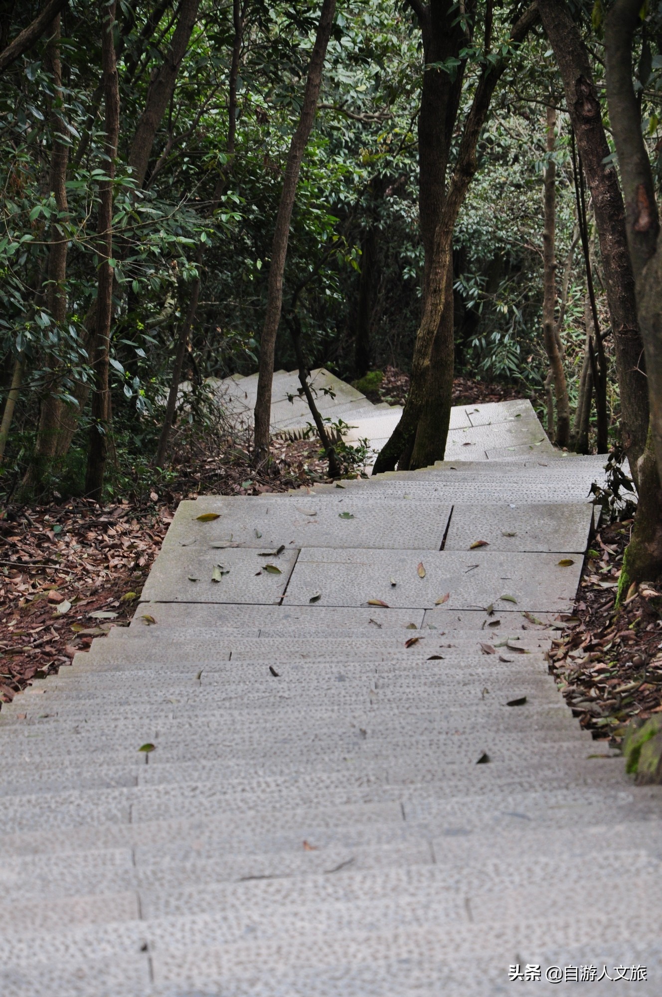 环西湖群山徒步毅行,行走西湖古诗词