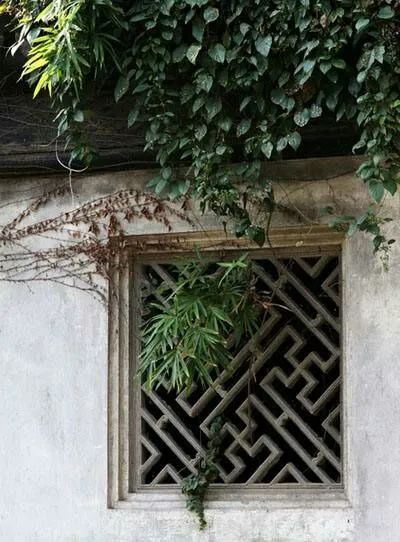 窗的作者,窗小说作者简介