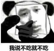 养的小荷兰猪为啥会死,豚鼠荷兰猪一般能活多久