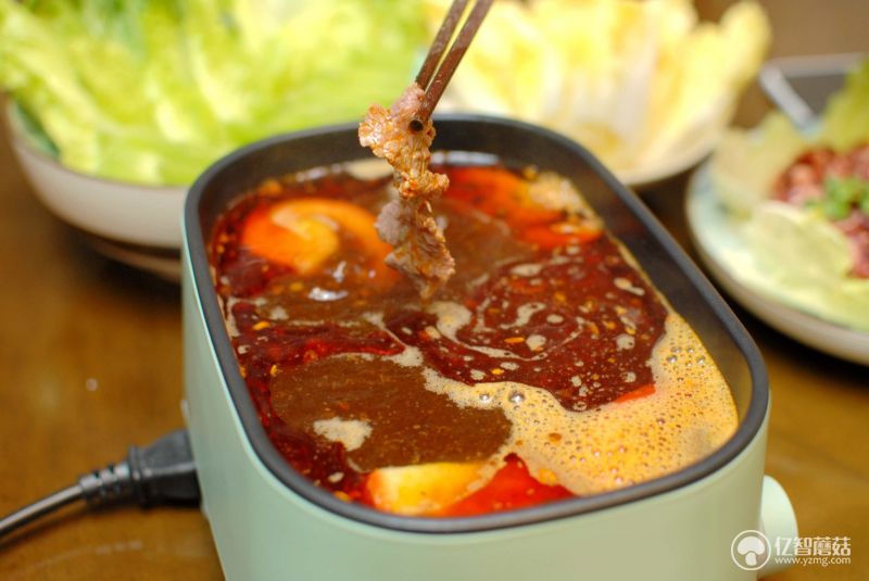 巧本多功能锅电煮锅,巧本电煮锅