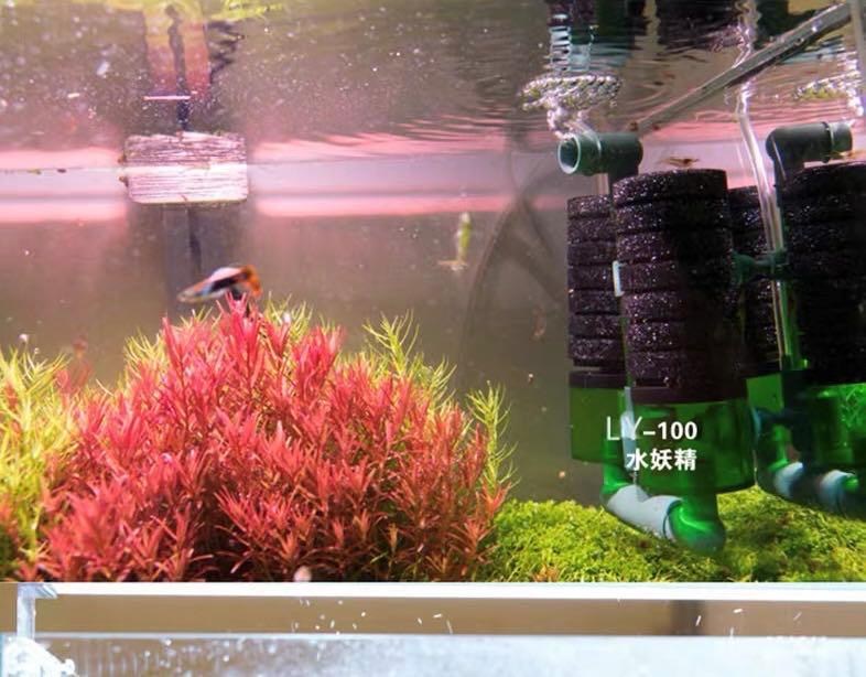 瀑布过滤器壁挂滤筒,底滤瀑布过滤怎么放滤材