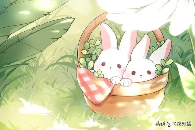 他母亲说，一个码字的能赚多少钱