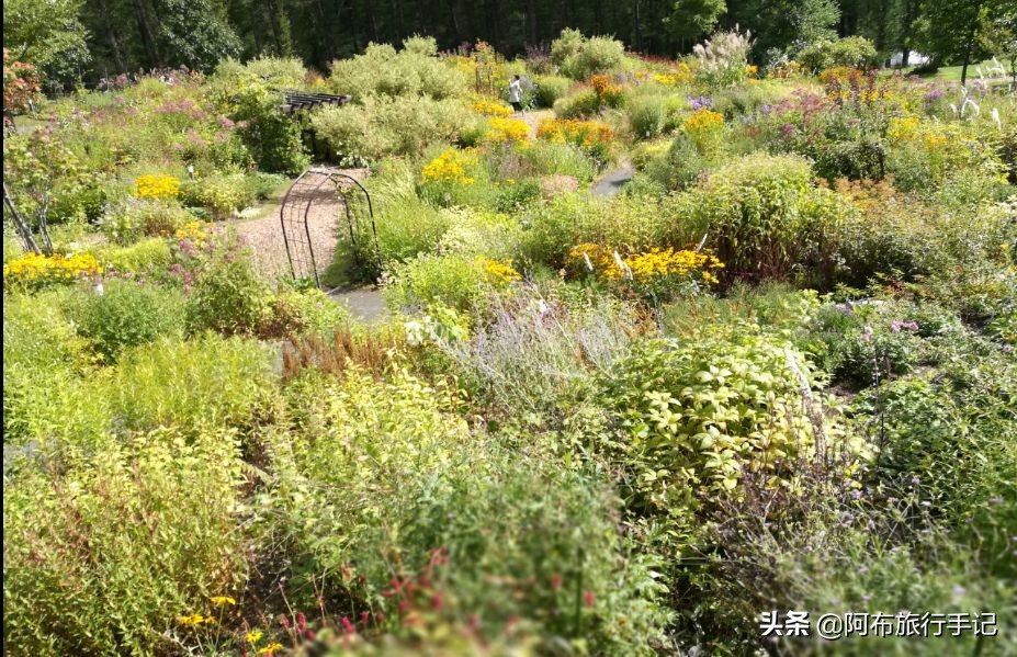 住在日本前世界首富的酒店里什么感觉，小镇青年的世界他不懂