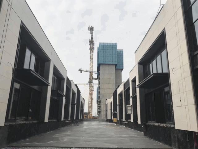 10.69亿！9199元/㎡！“新人”吉林天茂夺航空城7.2万平靓地