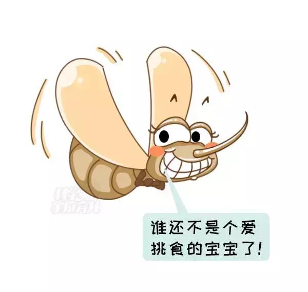急！登革热已爆发641例，“秋蚊”战斗力爆表，尤其是这2种
