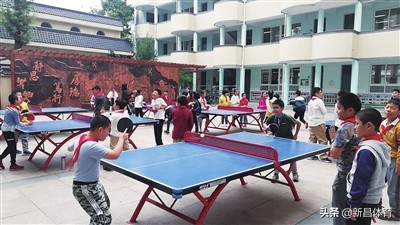 一校一品体育特色幼儿园,小学一校一品体育特色活动