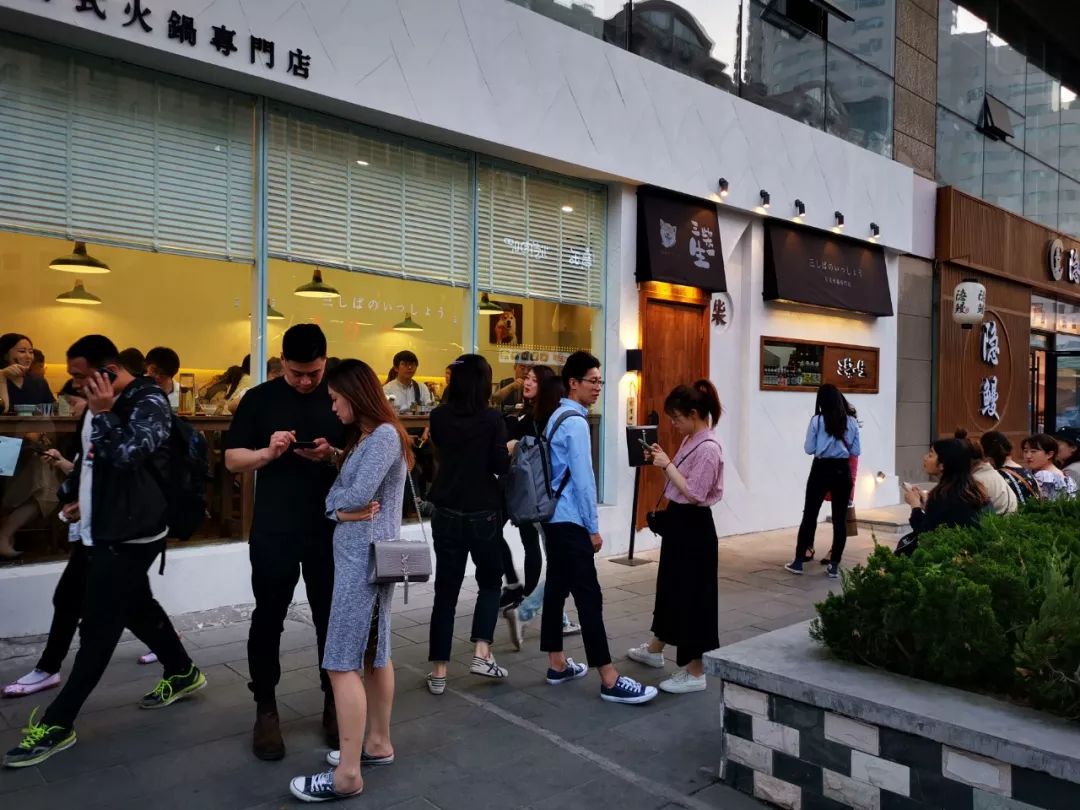 青岛有柴犬的日料店,青岛柴犬日料