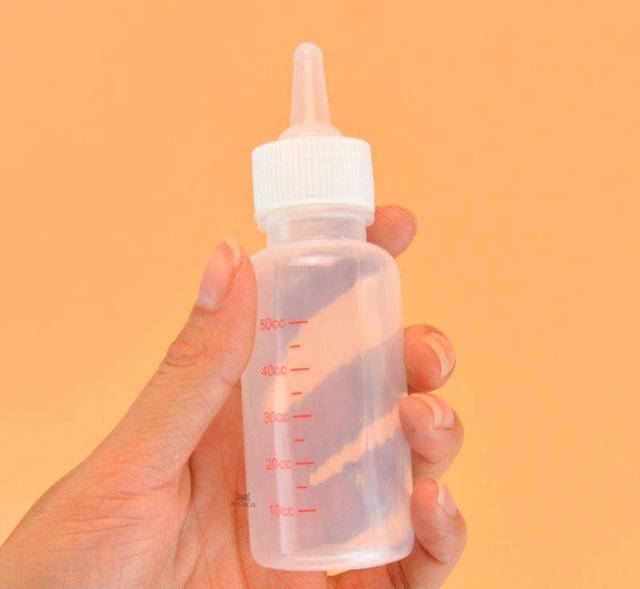 如何喂养刚出生的小奶猫,怎么喂养小奶猫