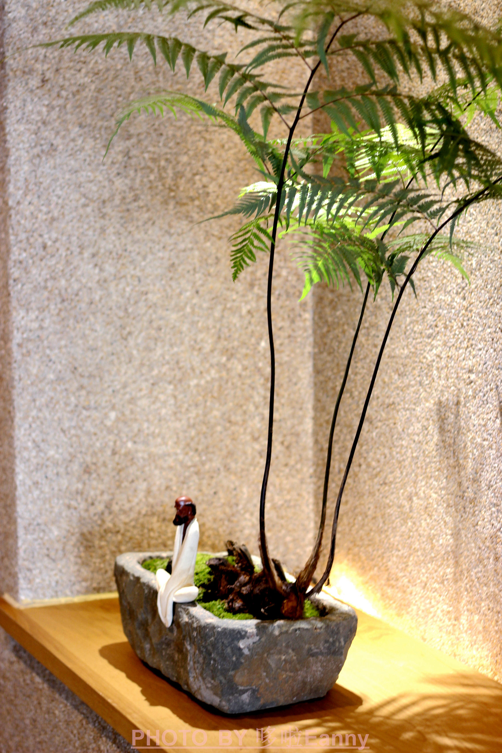 来一场仪式感,最有仪式感的素食