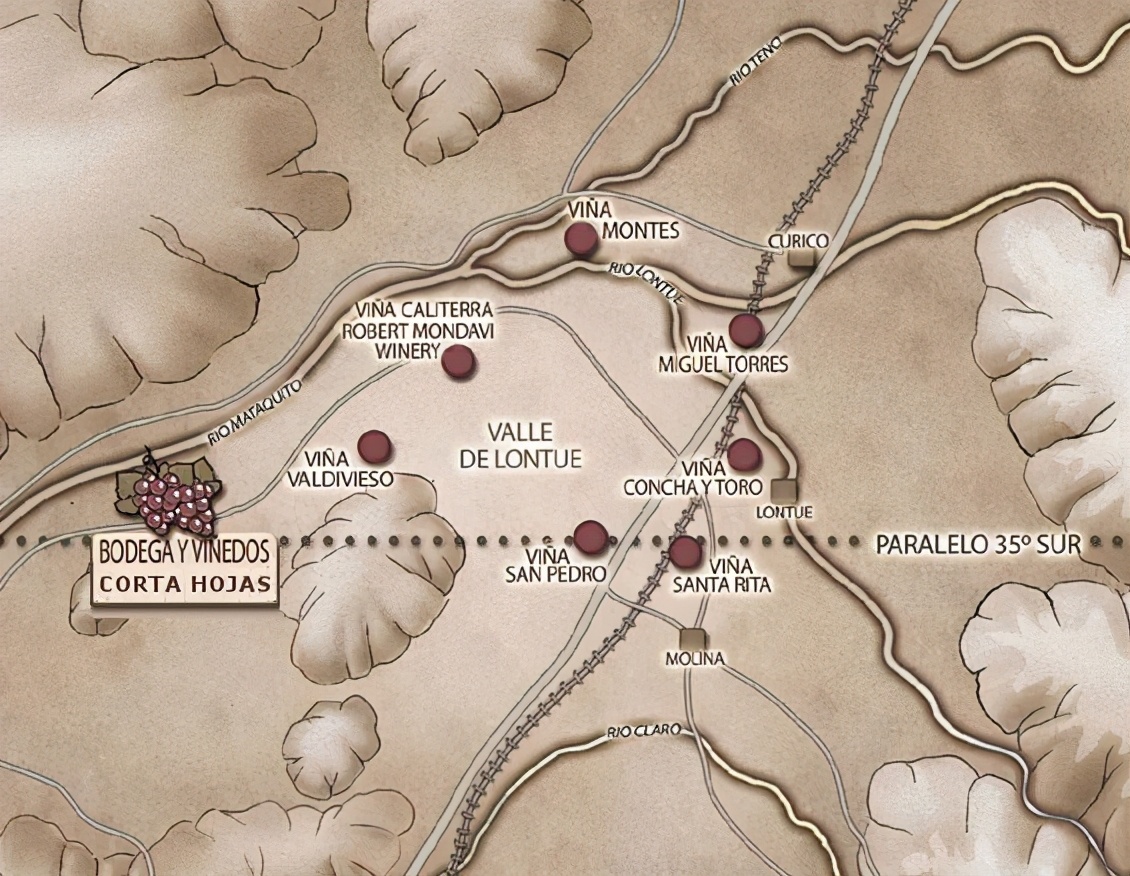 太阳峰酒庄智利名庄,智利寇塔酒庄