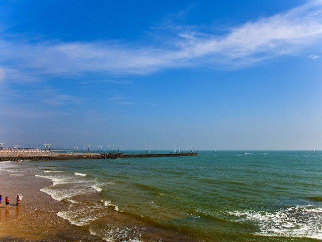 日照直播,日照绿茶价格表