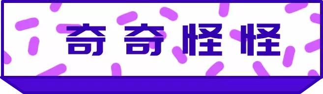2019年流行哪些产品,一起看一下2020年流行什么