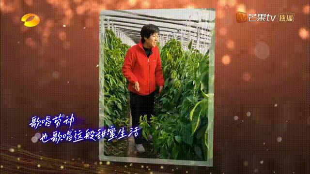 为什么说凤凰传奇是顶级神曲,凤凰传奇5首巅峰之曲