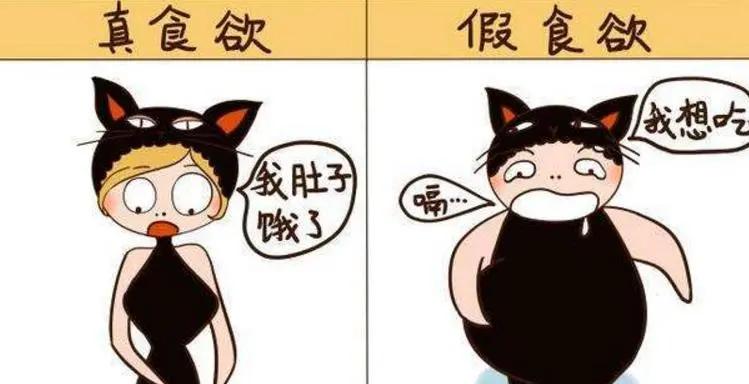 睡前保持饥饿感有助于减肥吗,睡前很饿吃什么食物好