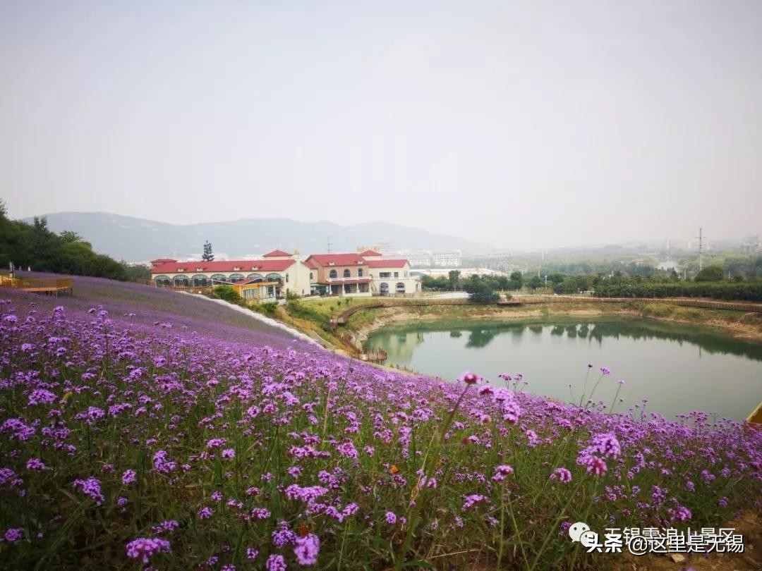 无锡秋游胜地最全推荐,无锡秋游自驾绝佳去处