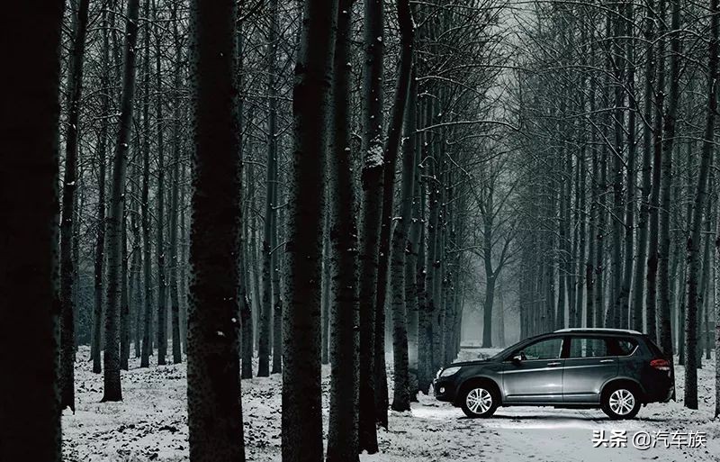 2021中国车年度十佳车型,中国年度车型评选