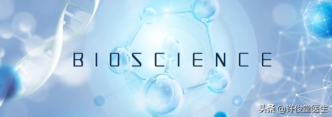 生化免疫检验报告单解读,生化检验正常值与临床意义