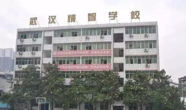 武汉民办学校今年收费涨了多少,武汉民办学费调整通知