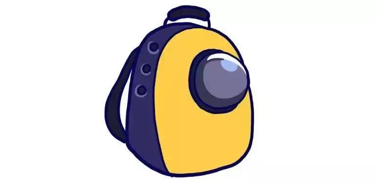 猫咪狗狗骨折了怎么办？扒一扒宠物“骨子里”的那些事