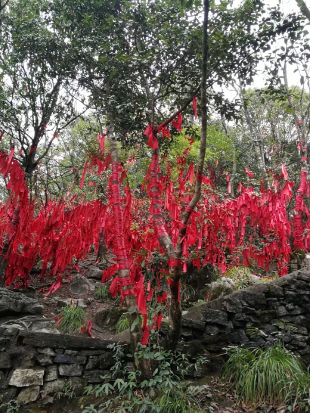 天门山一个人旅游,天门山的特别之处
