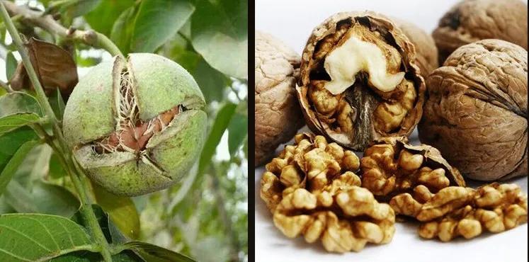 奇香月饼怎么样,合浦县白沙镇奇香月饼