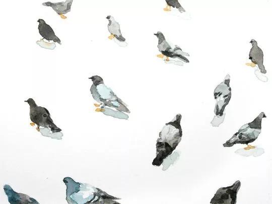 描写动物的好词佳句和片段作文,描写动物的作文句子段落摘抄大全