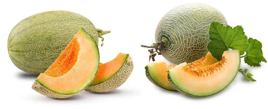 油画棒教程简单初学者儿童画,儿童油画棒画基础教程水果