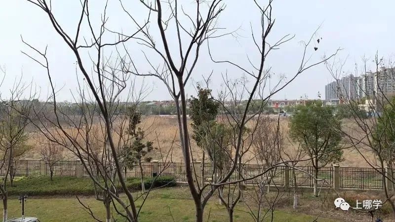 涓婃捣鏁欒偛璧勬簮澶х垎鍙戝尯,涓婃捣鏂板瀛︿綅