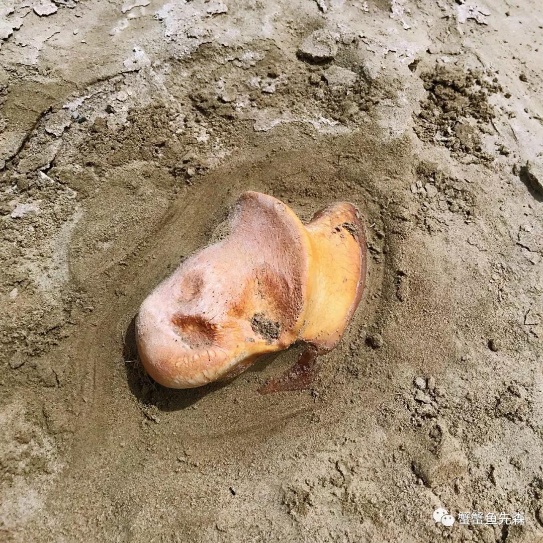 承德到大草原自驾游攻略,北京出发热阿线达达线自驾游攻略