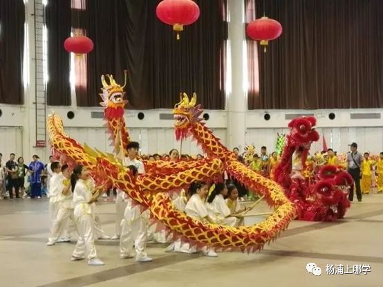 杨浦区小学入户年限,上海公办学校入户年限