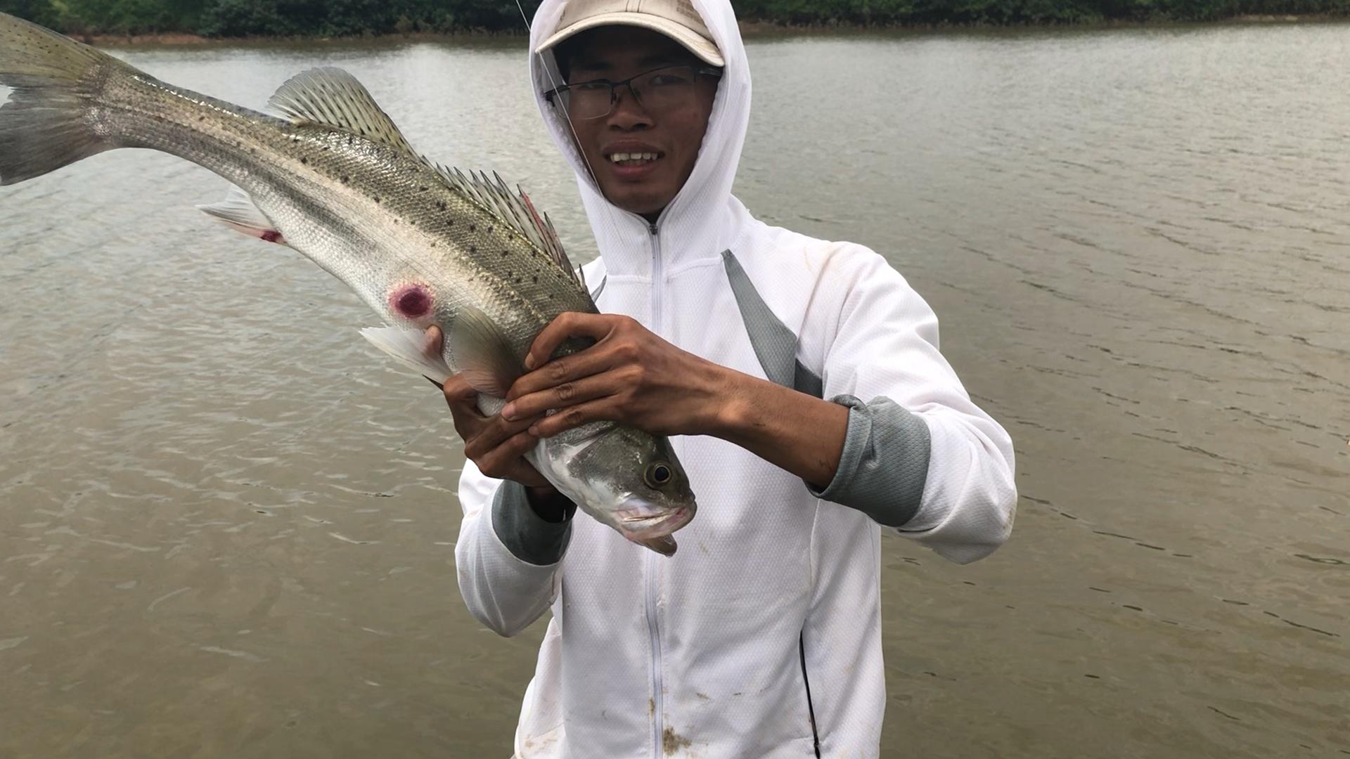 湛江出海钓鱼多少钱一天,在湛江海钓多少钱