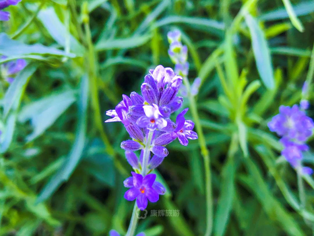 旅行中的故事讲述,旅行过程中的故事